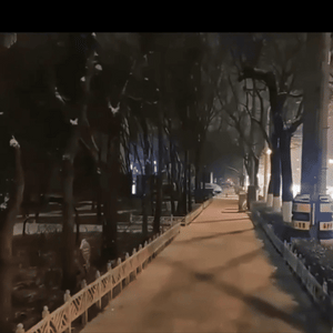 Night recording sample GIF